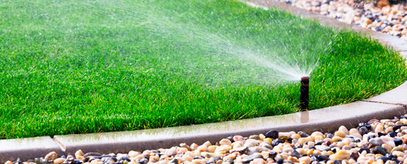 Snow Blower or Plow: what’s Better