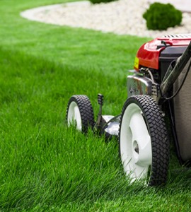 Lawn & Garden Care