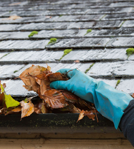 Spring & Fall Cleanup