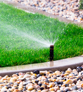 Spring & Fall Cleanup